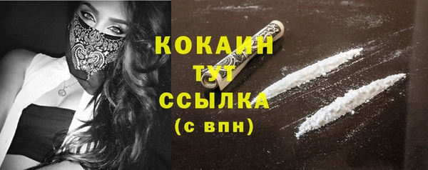 твердый Аркадак