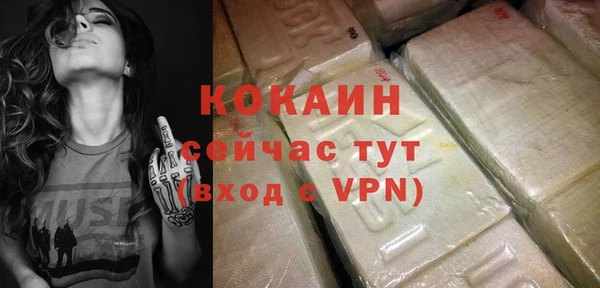 твердый Аркадак